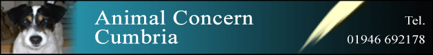 Animal Concern Cumbria