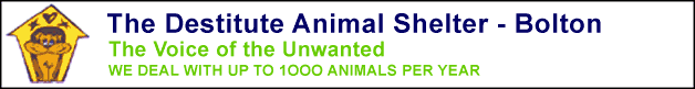 Bolton Animal Shelter for Dogs & Cats