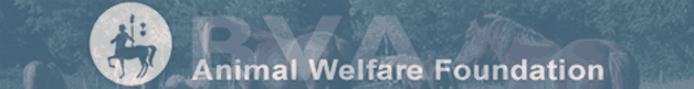 British Veterinary Association Animal Welfare Foundation (BVA AWF)