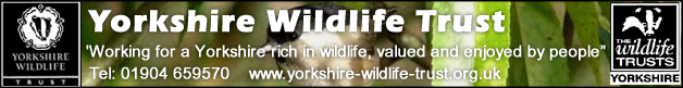 Yorkshire Wildlife Trust