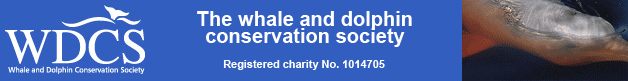 WDCS, Whale and Dolphin Conservation Society