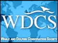 Click to view WDC, Whale and Dolphin Conservation
