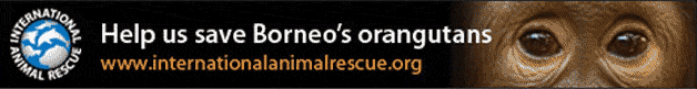 International Animal Rescue