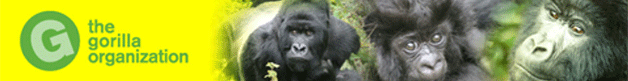 The Gorilla Organization (formerly The Dian Fossey Gorilla Fund)
