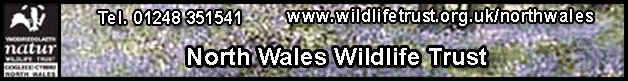 North Wales Wildlife Trust