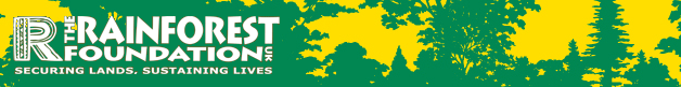 Rainforest Foundation UK