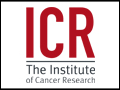 Click to view The Institute of Cancer Research: The Royal Cancer Hospital