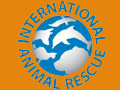 Click to view International Animal Rescue