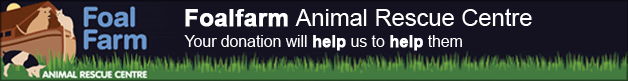 Foal Farm Animal Rescue Centre (Friends of Animals League)