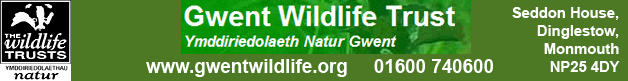 Gwent Wildlife Trust