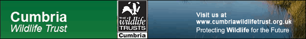 Cumbria Wildlife Trust
