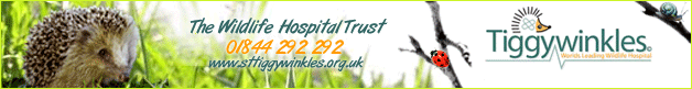 Tiggywinkles: The Wildlife Hospital Trust