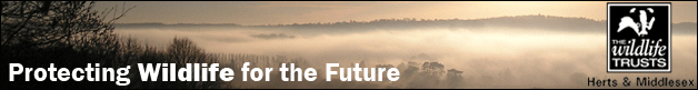 Herts & Middlesex Wildlife Trust