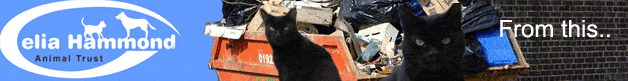 Celia Hammond Animal Trust