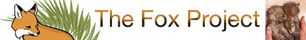 Fox Project, The