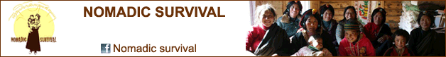 Nomadic Survival