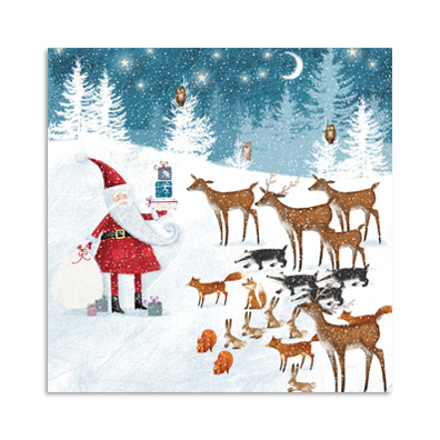 Santa-with-Gift-for-Forest-Animals2.jpg