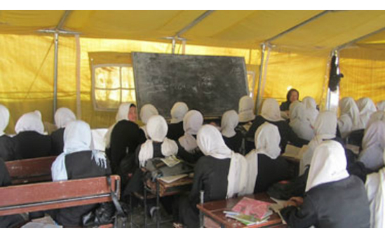 Article 25, Development and Disaster Relief profile image 3
