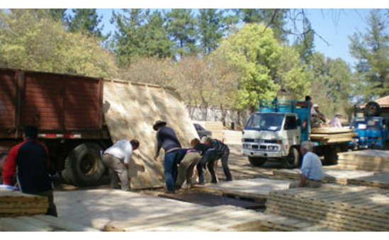 Article 25, Development and Disaster Relief profile image 5