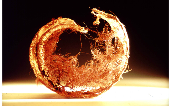 Arts Foundation profile image 2