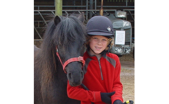 Dartmoor Pony Heritage Trust profile image 1