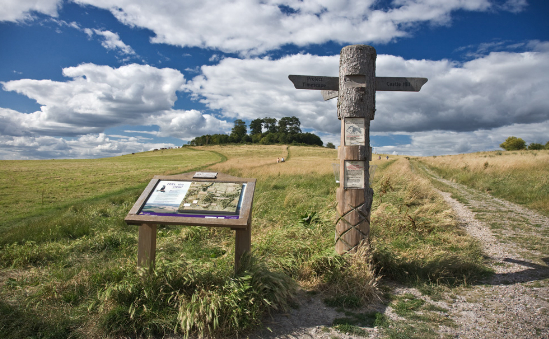Earth Trust profile image 1