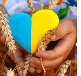 a picture of a childs hands holding a blue and yellow heart