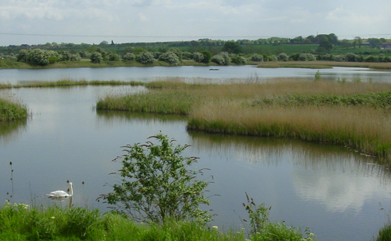 Far Ings National Nature Reserve