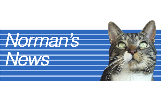 Norman&#039;s News