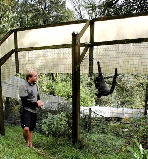 Charity Profile: Wild Futures and the primate pet trade | Charity ...