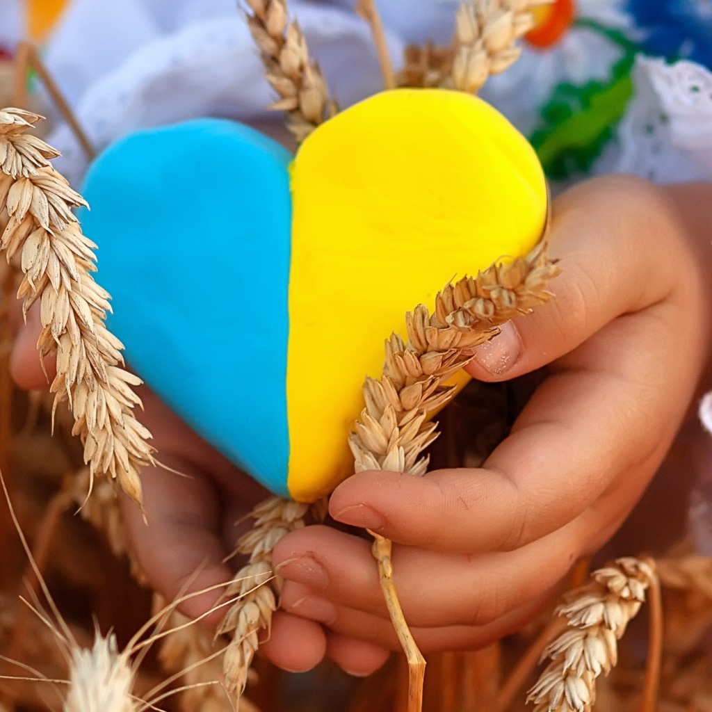 a picture of a childs hands holding a blue and yellow heart