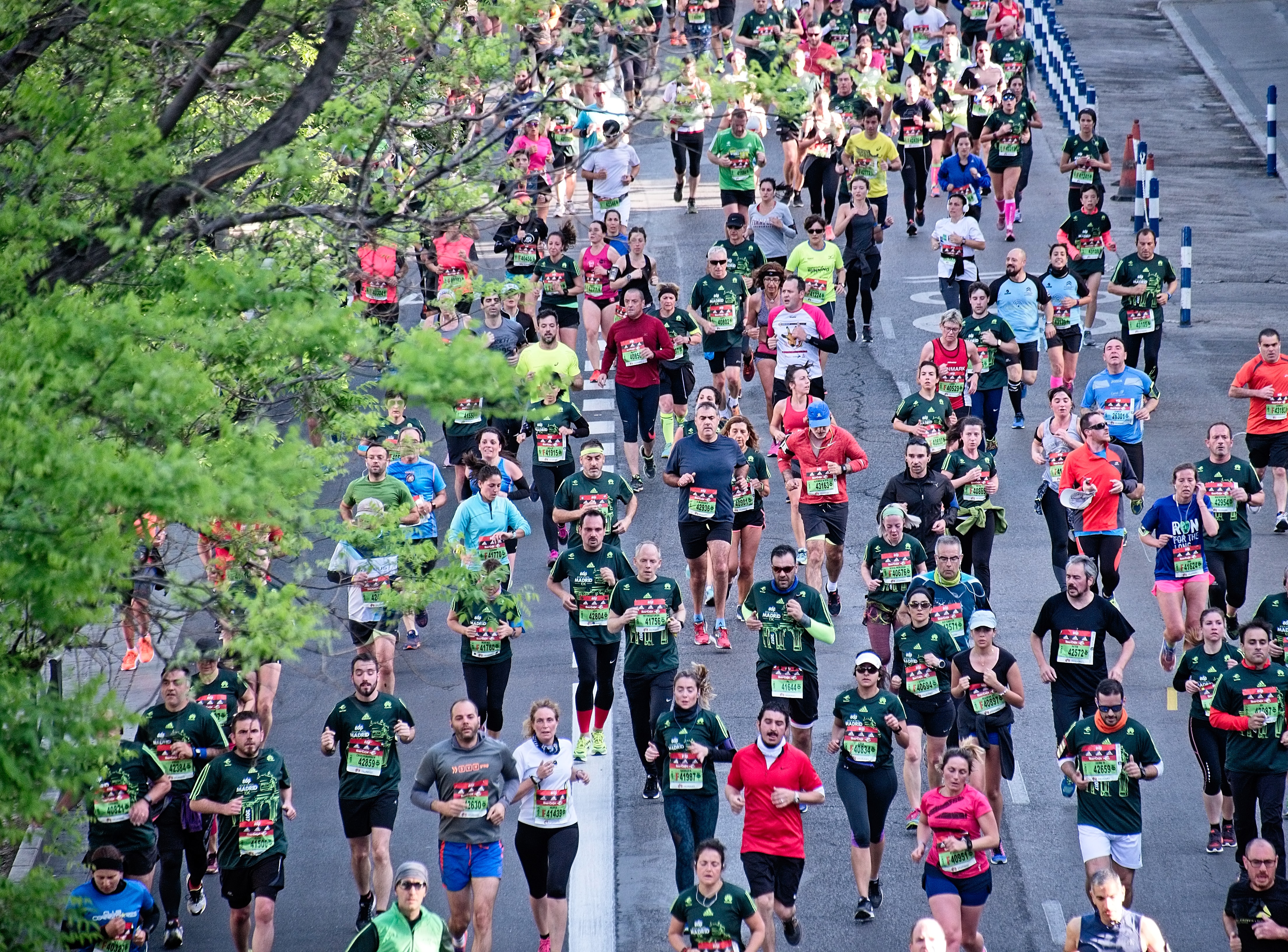 Marathon runners, viewed from above, tree covering some of the photo