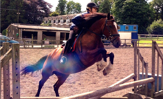 Maddie & Millie aiming high!