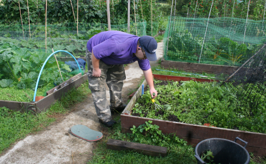 Client at Thrive allotments at Reading