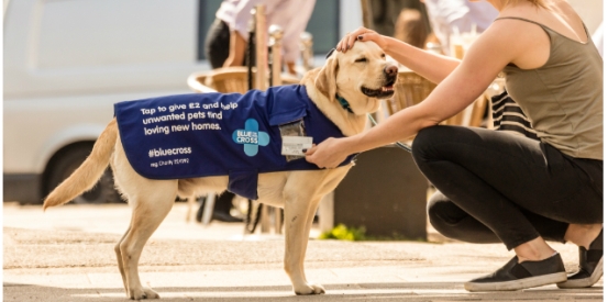 Canines go contactless!