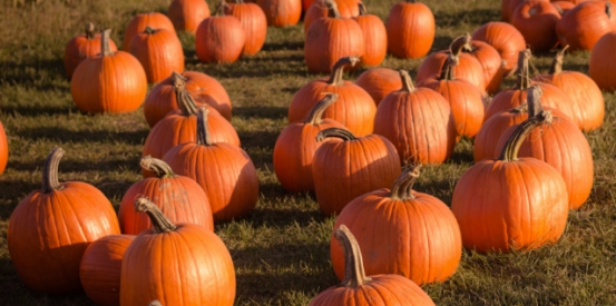 Forget Halloween – let’s talk about Lupus Awareness Month