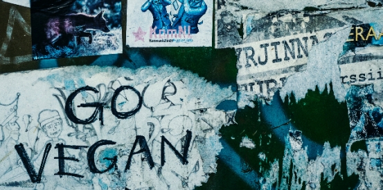 Vegan tips, tricks and health benefits