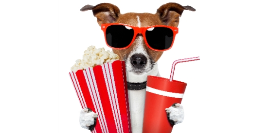Take your dog to the movies!