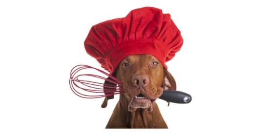 The Kennel Club Celebrate National Pet Month