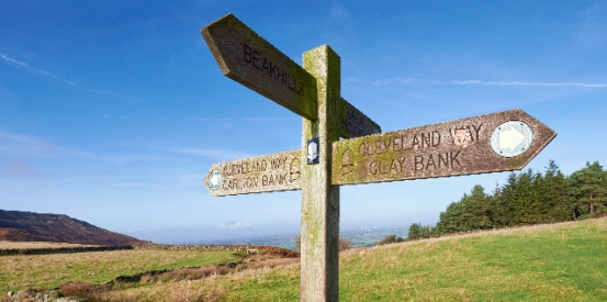 Celebrate our National Parks