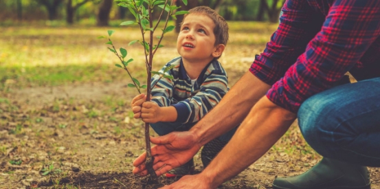 Get green fingered in your city