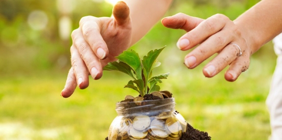 How to set the foundations for sustainable income